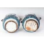 Pair of apothecary jars first quarter of the 19th century