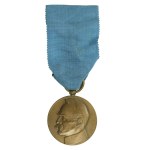 Second Republic, Medal of the Decade of Regained Independence 1918-1928 (328)