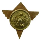II RP, badge of the Association of Polish Electricians, Vilnius 1936 (275)