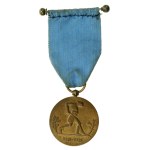 Second Republic, Medal of the Decade of Regained Independence 1918-1928 (684)