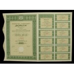 Chemical Industry "Boruta", 250 zlotys 1938 (460)