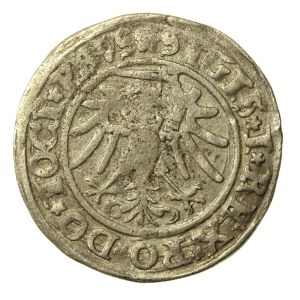 Sigismond Ier le Vieux, Grosz 1534, Elbląg (563)