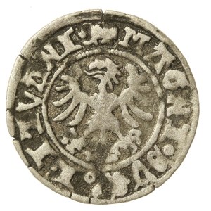 Aleksander Jagiellończyk, Półgrosz, Wilno - gotyk/renesans (582)