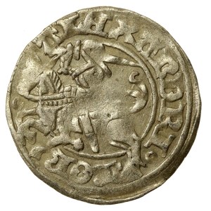 Alexander Jagiellonian, Half-penny, Vilnius-Gothic (588)