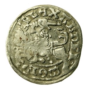 Alexander Jagiellonian, Half-penny, Vilnius-Gothic (619)