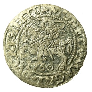 Sigismund II Augustus, Half-penny 1560, Vilnius - L/LITV (636)