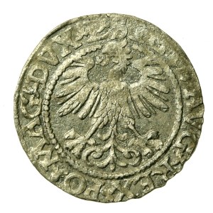 Sigismund II Augustus, Half-penny 1560, Vilnius - L/LITV (636)