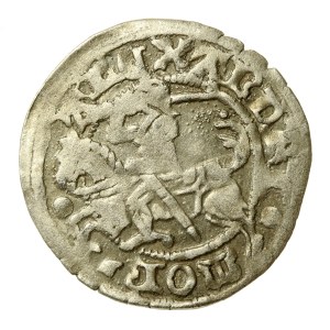 Alexander Jagiellonian, Half-penny, Vilnius-Gothic (654)
