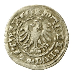 Alexander Jagiellonian, Half-penny, Vilnius-Gothic (654)