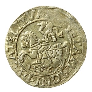 Sigismund II Augustus, Half-penny 1556, Vilnius - L/LITVA. Eagle of 1557 (669)