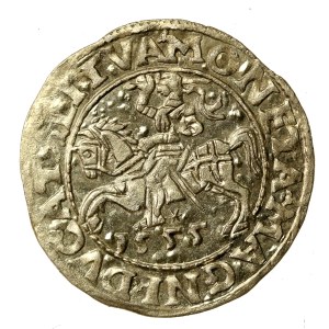 Sigismund II Augustus, Half-penny 1555 Vilnius, LI/LITVA (899)