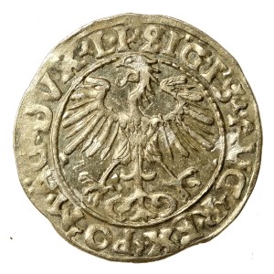 Sigismund II Augustus, Half-penny 1555 Vilnius, LI/LITVA (899)