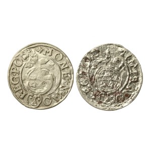 Sigismund III Vasa, set of half-tracks. Two destructs (971)