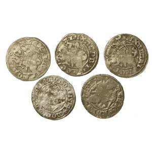 Jagiellonians, a set of half-grophs. Total of 5 pcs. (975)