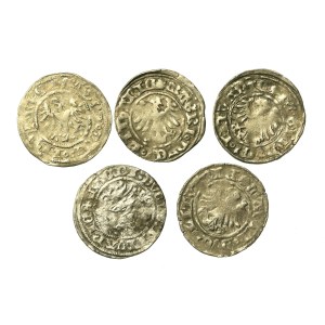 Jagiellonians, a set of half-grophs. Total of 5 pcs. (975)