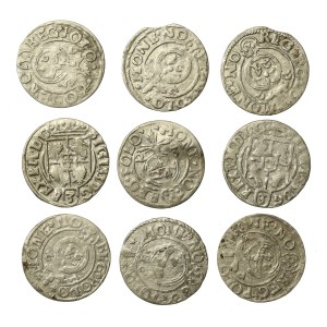 Zygmunt III Waza, zestaw półtoraków bydgoskich. Razem 9 szt. (977)