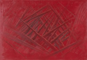 Stefan Buczek, Rubus, 2025