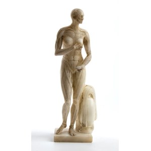 Skinned in alabaster marble - Italy, 19th century
