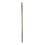 Walking stick - Birmingham, 1904