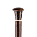 Walking stick with tortoiseshell and marine ivory handle - England or France, 19th century