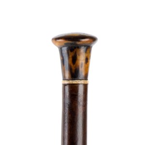 Walking stick with tortoiseshell and ivory handle - Europe, 19th century