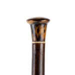 Walking stick with tortoiseshell and ivory handle - Europe, 19th century