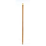 Walking stick with tortoiseshell and marine ivory handle - England or France, 19th century