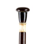 Walking stick with ivory inserts - Italy or England, 19th century