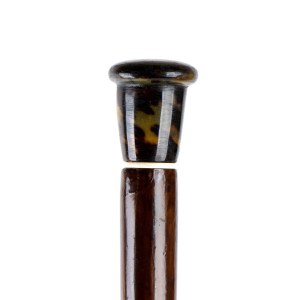 Walking stick with tortoiseshell and ivory handle - Europe, 19th century