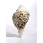 Sankha shell - India, 18th-19th century