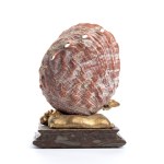 Composition with shell - Italy, 19th century