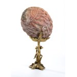 Shell - Europe, 19th century