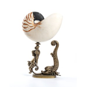 Cup with nautilus - Europe, 19th century