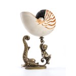 Cup with nautilus - Europe, 19th century