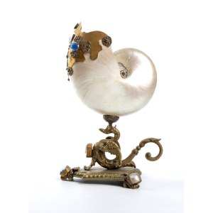 Nautilus mounted on brass base - Europe, 19th century