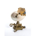 Nautilus mounted on brass base - Europe, 19th century