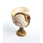 Natural shell - Western Europe, 19th century