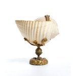 Natural shell - Western Europe, 19th century