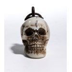 Marine ivory skull - Europe, 18th century