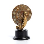 Fossilised ammonite - Italy or France, 19th century