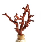 Vase in ivory and red coral - Italy, 17th - 18th centuries