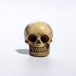 Marine ivory “Memento Mori” Vanitas - Japan, Meiji period, 1868-1912