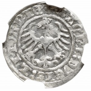 Zygmunt I Stary, Półgrosz 1512, Wilno - NGC MS65
