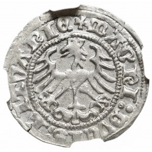 Zygmunt I Stary, Półgrosz 1513, Wilno - NGC MS64