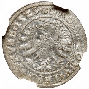 Sigismund I, Groschen 1529, Thorn - PRVS NGC AU58