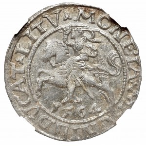 Zygmunt II August, Półgrosz 1564, Wilno - L/LITV NGC MS64