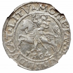 Sigismund II August, Half-groat 1564, Vilnius - L/LITV NGC MS64