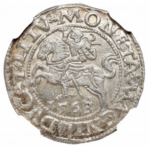 Sigismund II August, Half-groat 1563, Vilnius - L/LITV NGC MS65