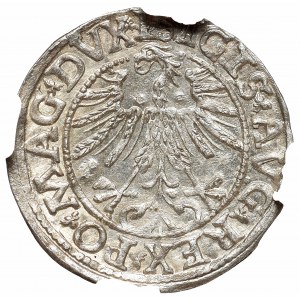 Sigismund II August, Half-groat 1563, Vilnius - L/LITV NGC MS65
