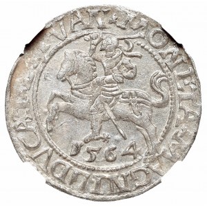 Zygmunt II August, Półgrosz 1564, Wilno - L/LITVAN NGC MS64